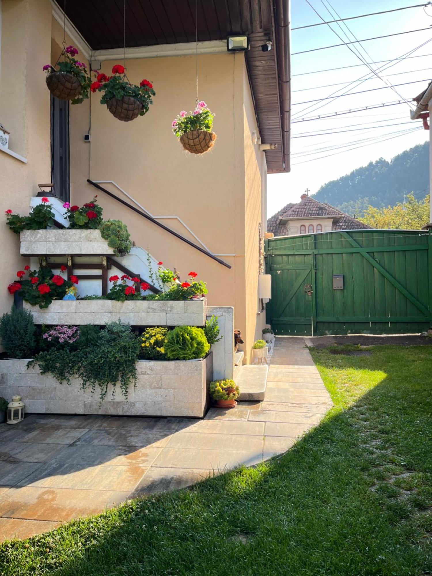 RîşnovCasa Joy别墅 外观 照片